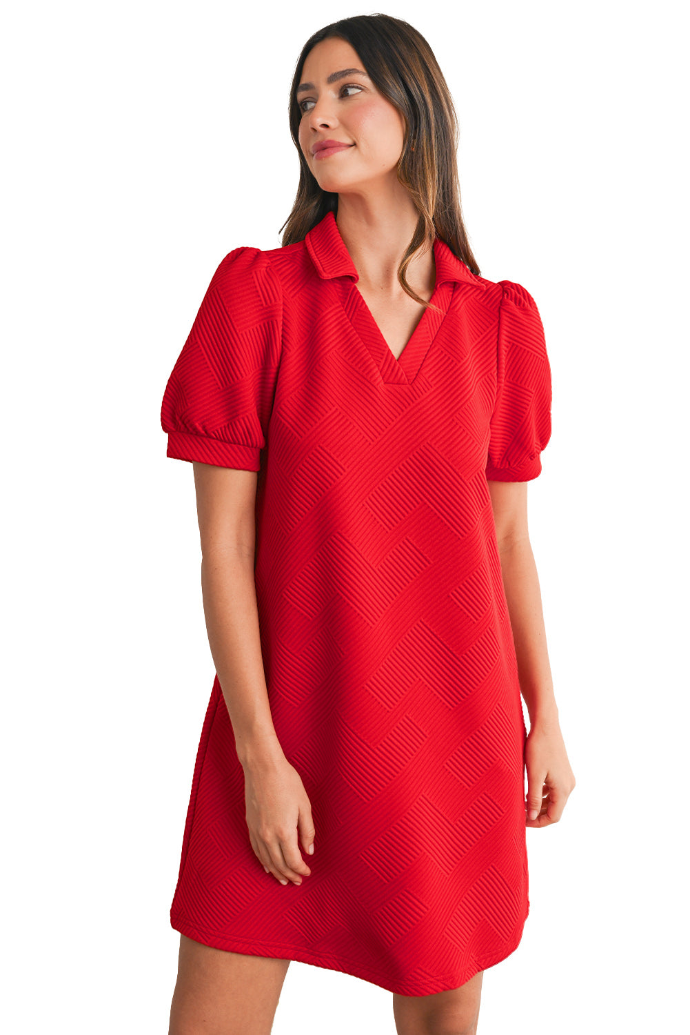 Fiery Red V Neck Puff Sleeve Textured Mini Dress